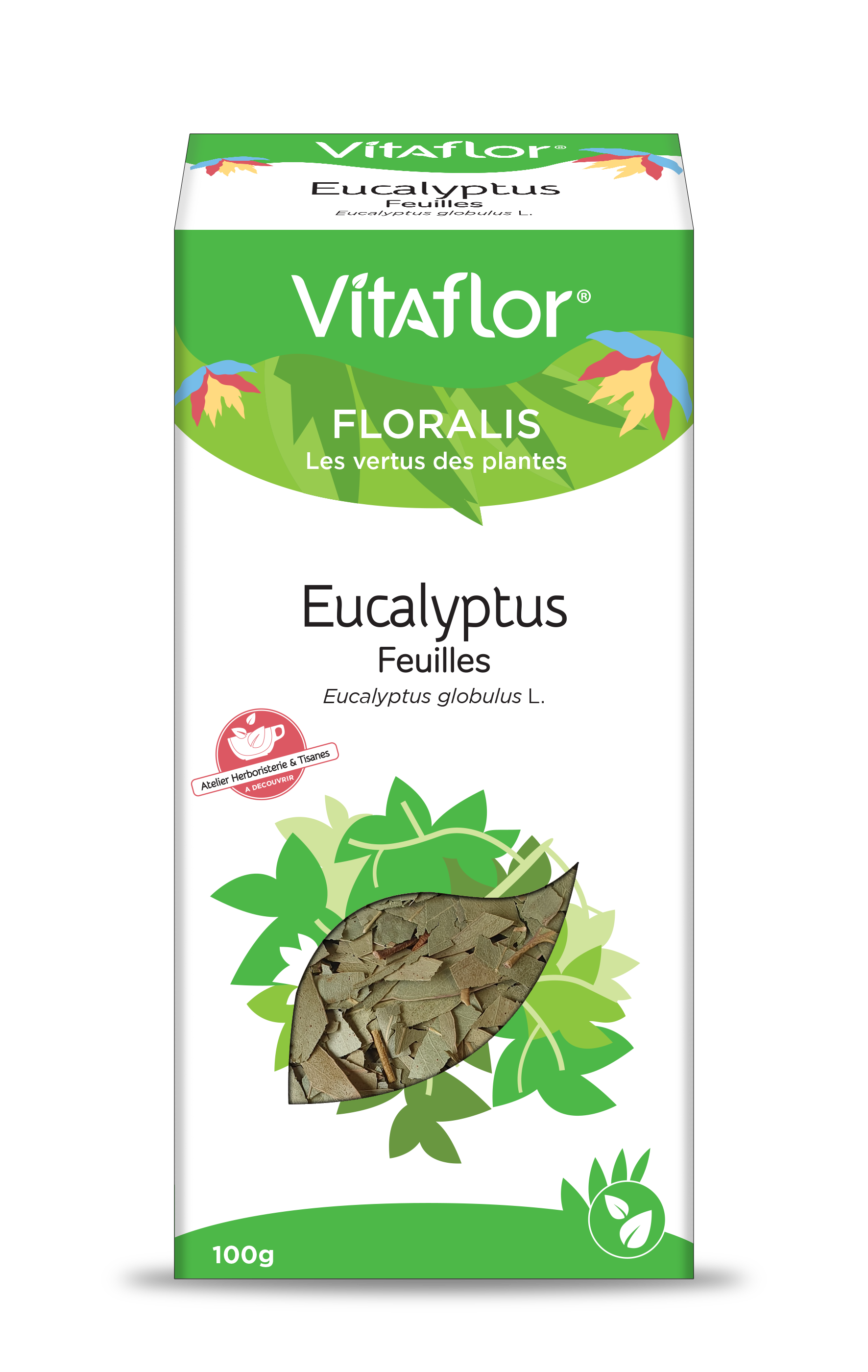 Achetez Feuilles d'eucalyptus à un prix pas cher