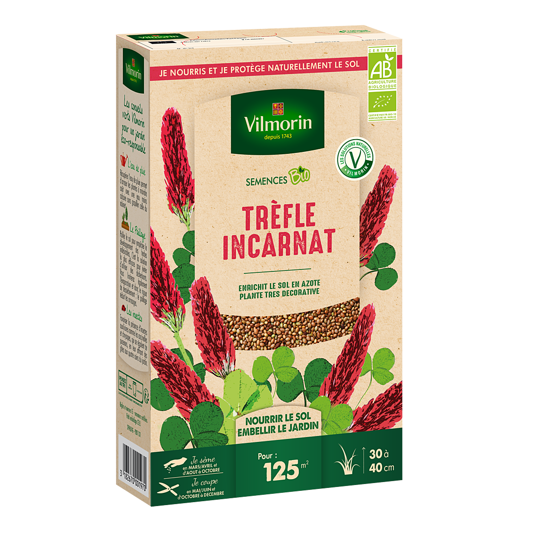 Graines De Trèfle Blanc - Sachet 1000 Graines, Pour Pelouse, Engrais Vert, Permaculture - 8