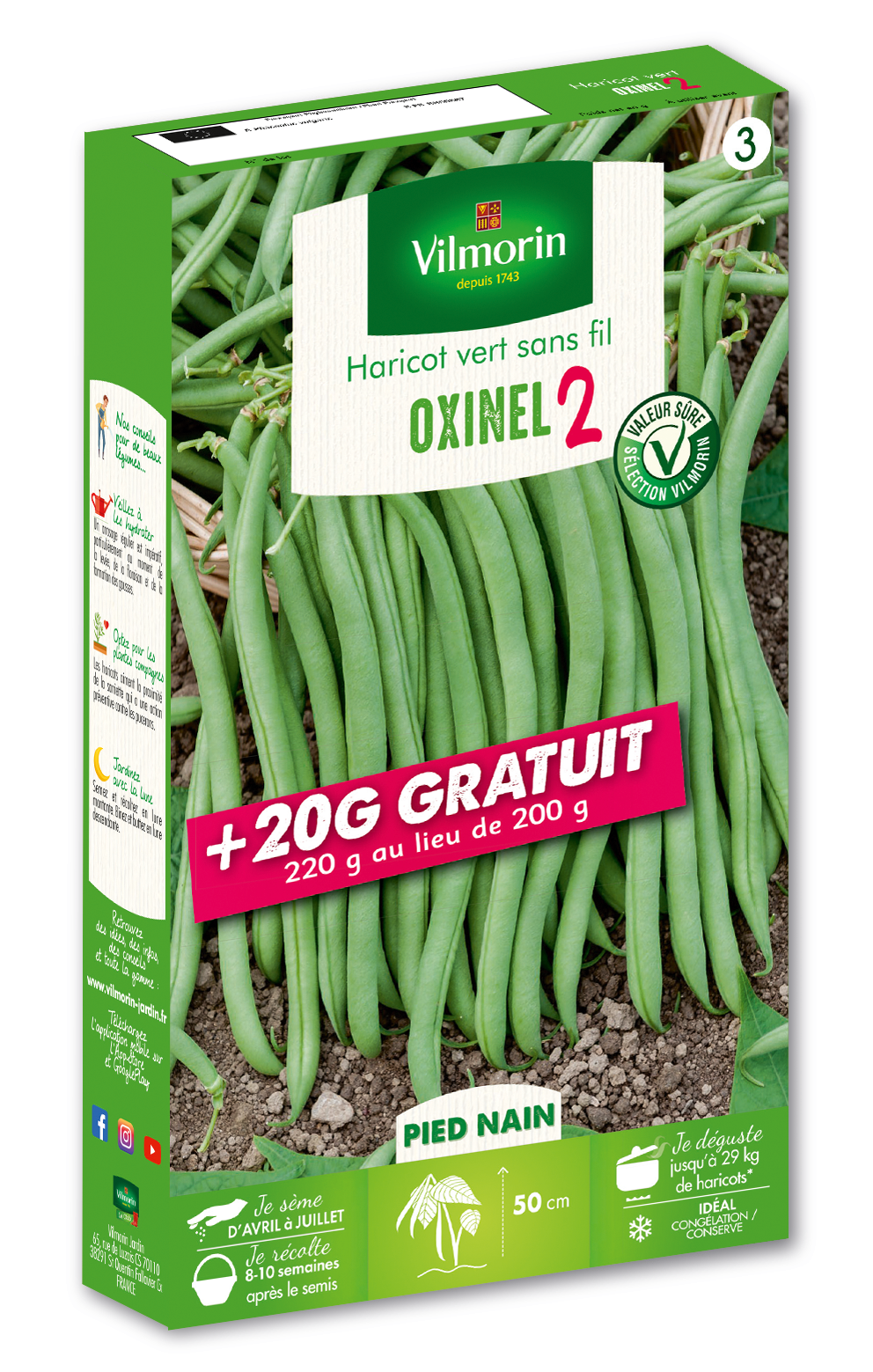 Graines De Haricot Nain Sans Fil SKIPPER - Vilmorin - Variété Rustique Pour Congélation - Gousses Vertes Charnues De 12-13 Cm