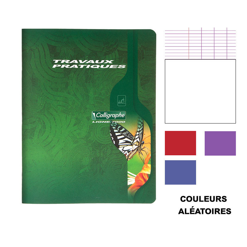 Cahier Travaux Pratiques Calligraphe Clairefontaine - 96 Pages Grands Carreaux/unies, 17x22cm, Couverture Transparente