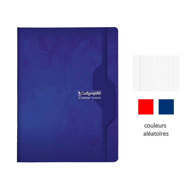 Calligraphe Clairefontaine Lot 4 Cahiers 24x32 Cm – 192 Pages Petits Carreaux 90g, Couverture Polypro