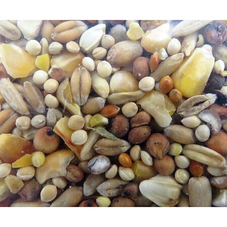 Mélange de graines toutes saisons pour oiseaux sac de 2.5 kg -  animallparadise 23 Multicolor - Cdiscount Animalerie