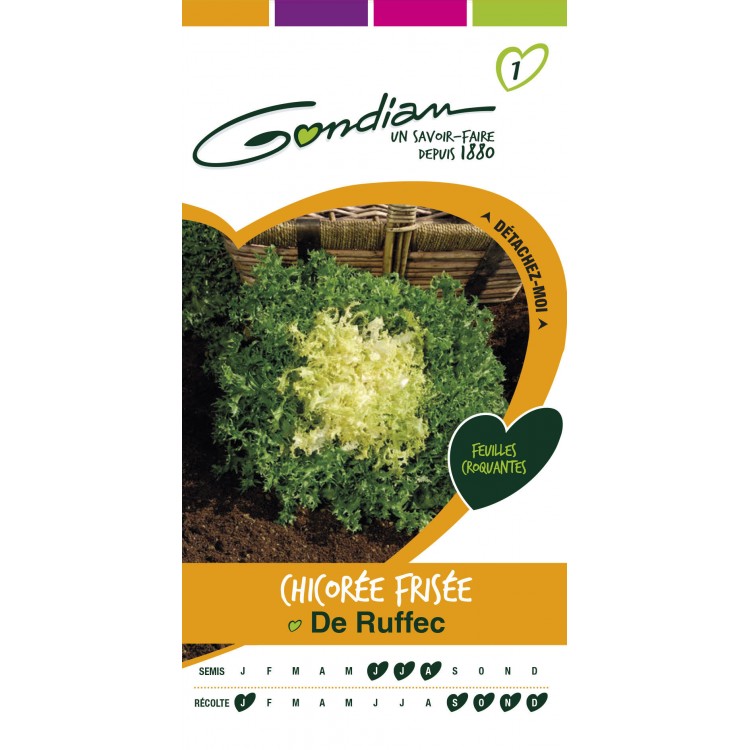 Graines - Chicorée Frisée De Ruffec - 3 Gr - Les Doigts Verts