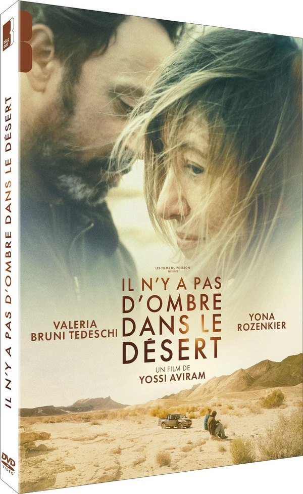 couverture de : Il n'y a pas d'ombre dans le d&eacute;sert