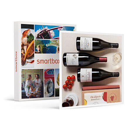 VIVABOX - Coffret Cadeau - Gastronomie - pour Les Amateurs De Vins - 1  Activité Œnologique Ou Un Abonnement De 3 Mois avec Petit Ballon (à Choisir
