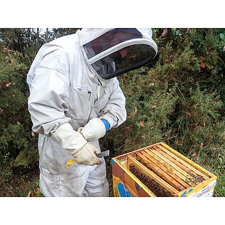Parrainage d'une ruche et livraison de pots de miel - Smartbox