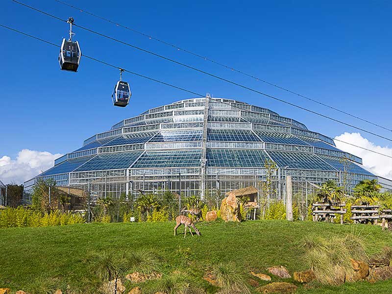 Tick'n Box Geschenkbox – 1-Tages-Ticket Für ZooParc De Beauval (1 Erwachsener)