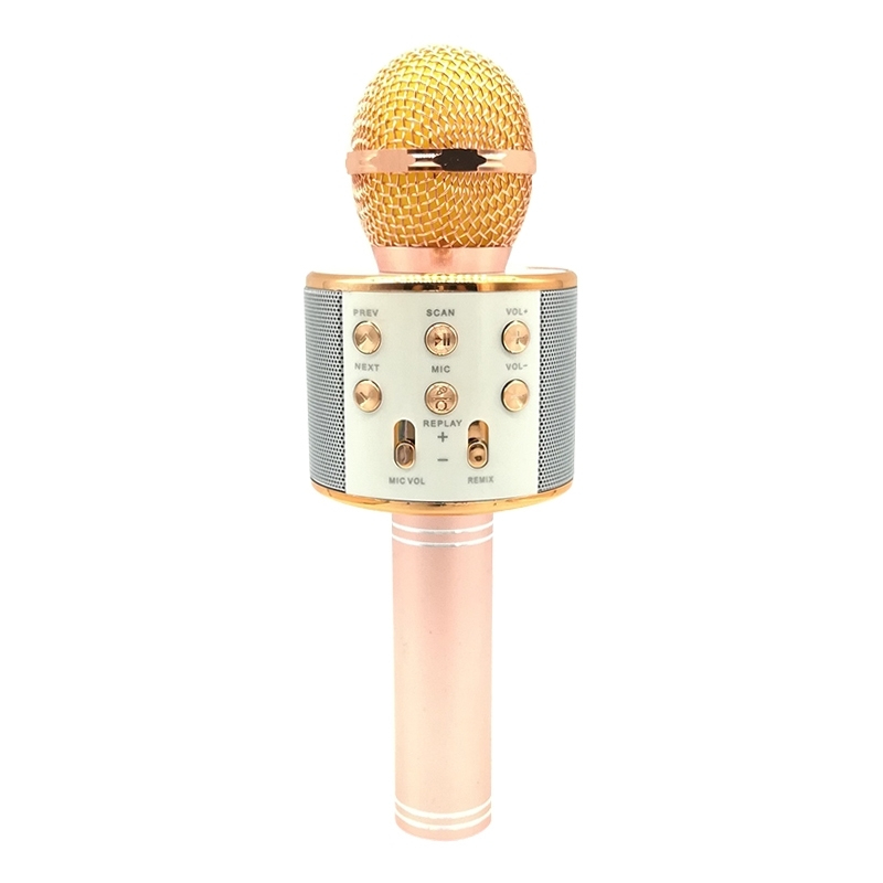 Micro Karaoké Sans fil Bluetooth avec Haut parleur 5W Autonomie 8H