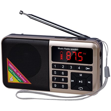Poste Radio Enceinte Bluetooth FM 70-108mhz Digital Stéréo Batterie 1500  Mah Or YONIS au meilleur prix
