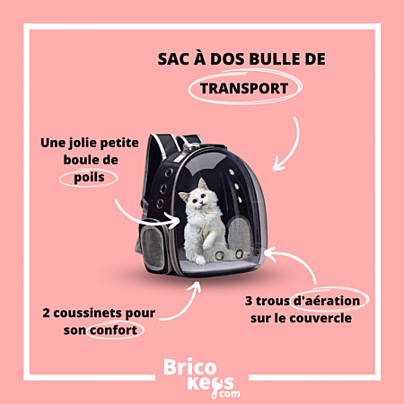 transparent pet backpack Sac cage de transport transparent pour chat et  chien couleur jaune à prix pas cher