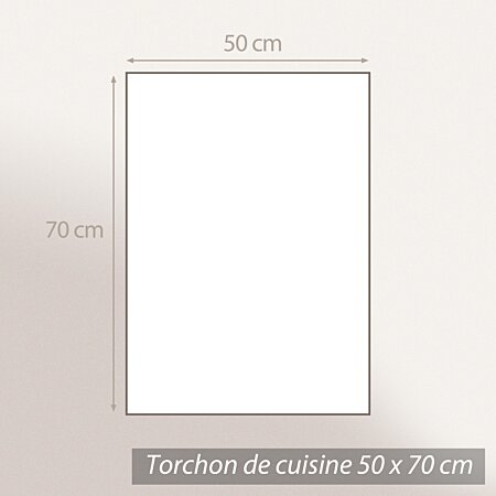 Lot de 2 torchons de cuisine éponge 50x50 cm coton OTON marron