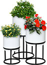 OUTSUNNY Étagère échelle à fleurs pliable - porte plante bois 3 étagères  avec rebord - tableau noir personnalisable intégré - bois sapin gris pas  cher 