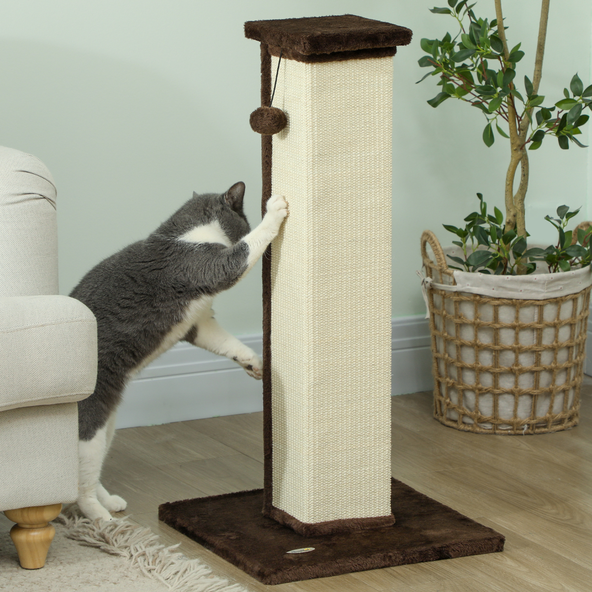Griffoir Pour Chat Avec Planche à Gratter En Sisal, Rampe Pour Animaux De Compagnie Avec Trois Lits Réglables En Hauteur Pour L'intérieur, Les Grands Chats Et Les Petits Acheter à Prix Bas