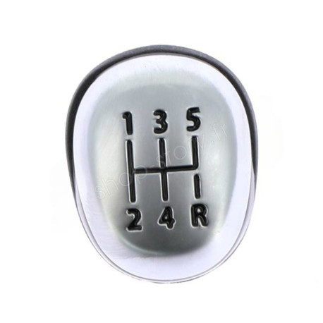 POMMEAU DE LEVIER De Vitesse De Boite Automatique Prévu Pour