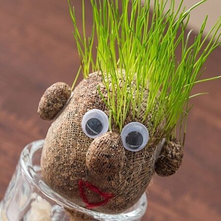 Tête d'herbe amusez vous à faire pousser ses cheveux en gazon un cadeau  nature et original -  Canada