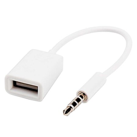 INECK - Cable Adaptateur Aux 3 5 jack Male / USB 2..0 femelle - Blanc au  meilleur prix