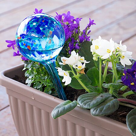 Relaxdays Globes d'arrosage lot de 6, Distributeur eau plantes et