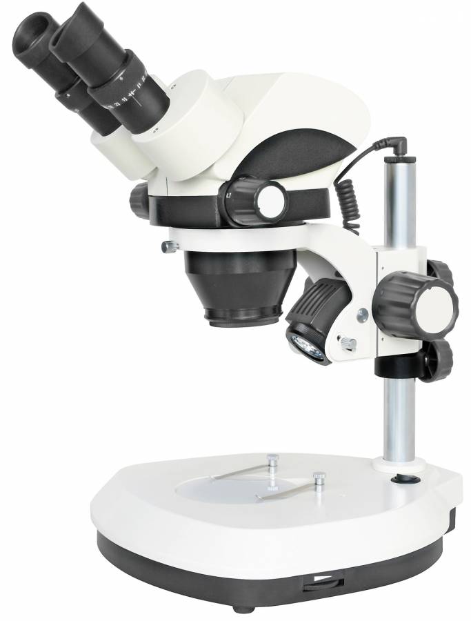Lampe halogène BRESSER - Pièce de Rechange pour Microscopes à Lumière  incidente