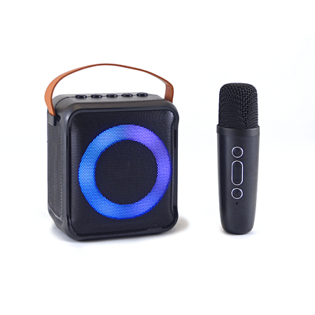 Mini-enceinte Bluetooth KARAOKE noire au meilleur prix