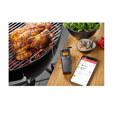 Thermomètre pour barbecue DGT-50.app, Thermomètres et minuteurs