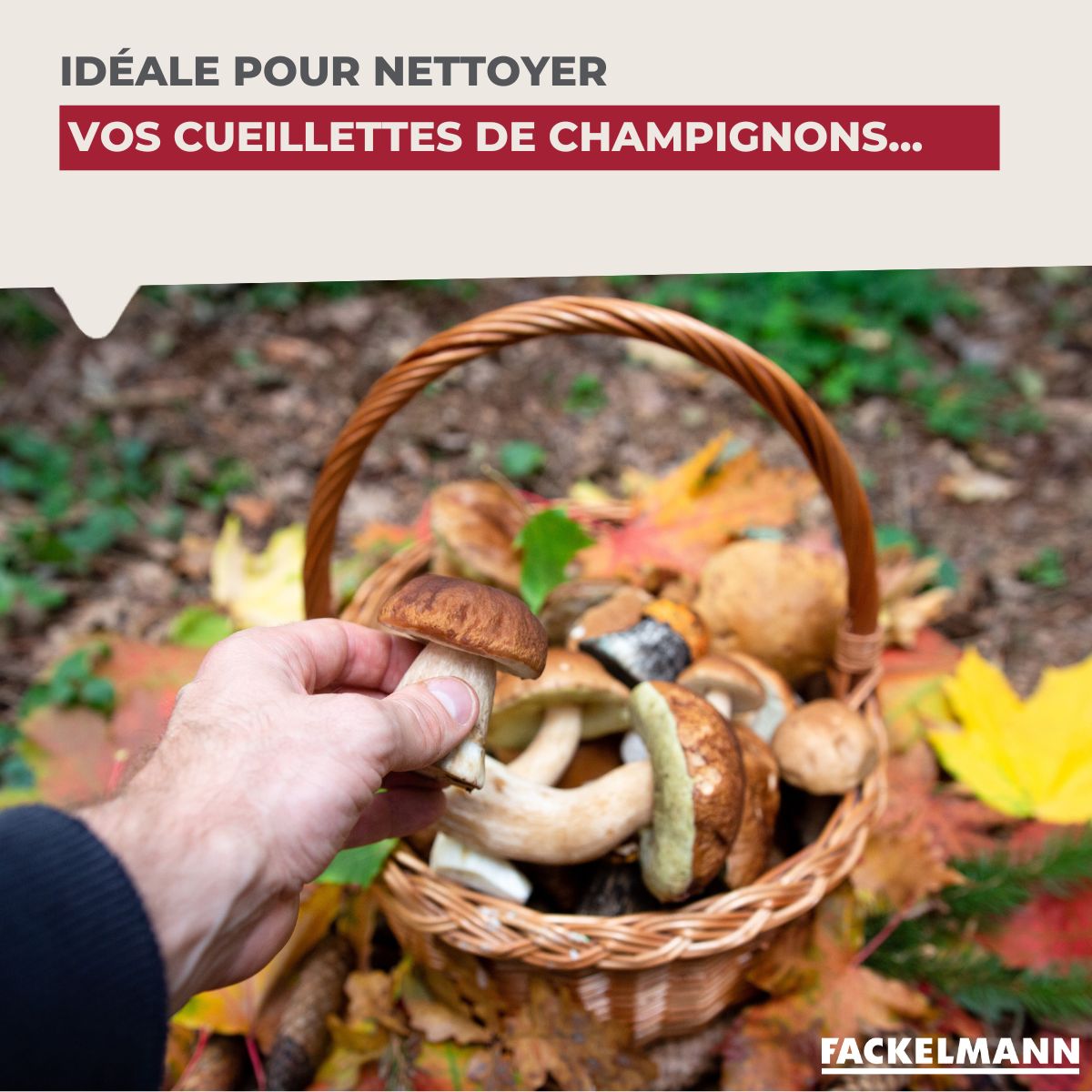 Brosse à Champignons Et Légumes En Bois - Poils Palmier/sisal - Avec Cordon De Suspension - Lot De 2