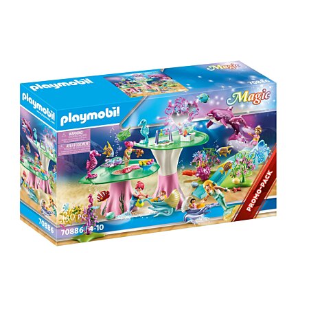 Playmobil Set Cadeau Princesses Multicolor : : Jeux et Jouets