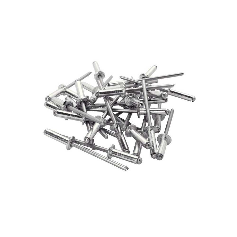 Rapid Rivets haute performance diam.4,8 x 16 mm aluminium - Boîte de ...