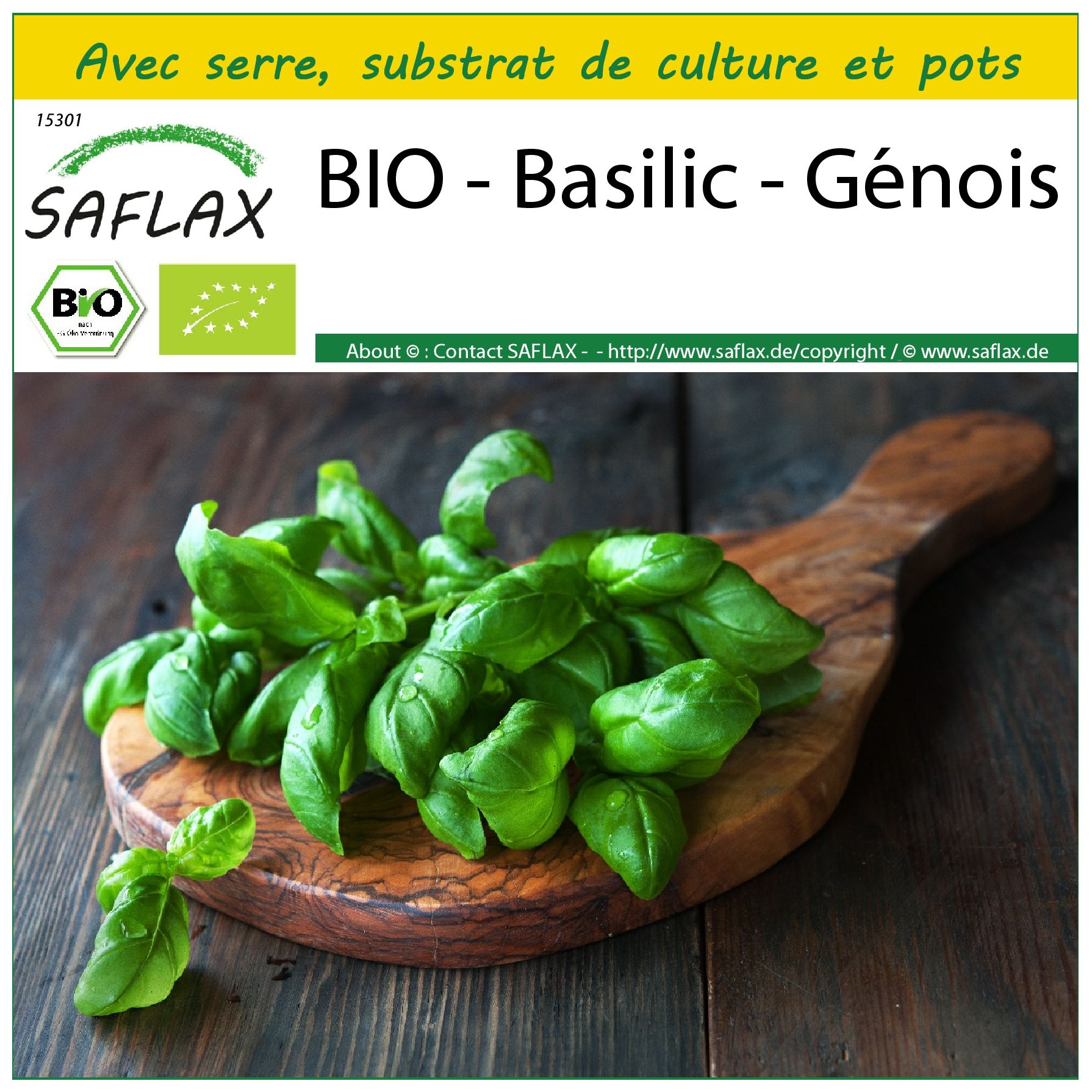 Mini-kit de graines de basilic bio