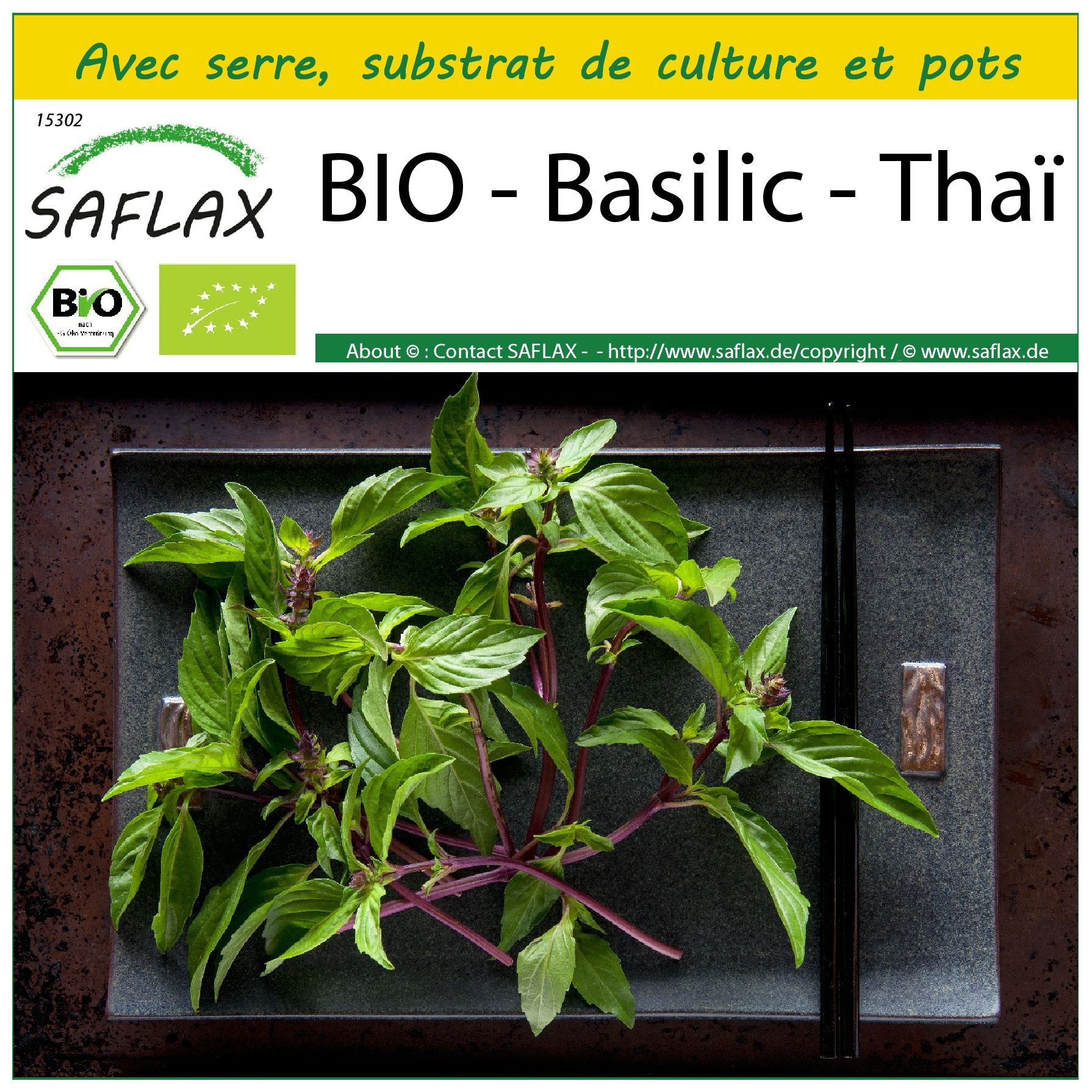 Mini-kit de graines de basilic bio