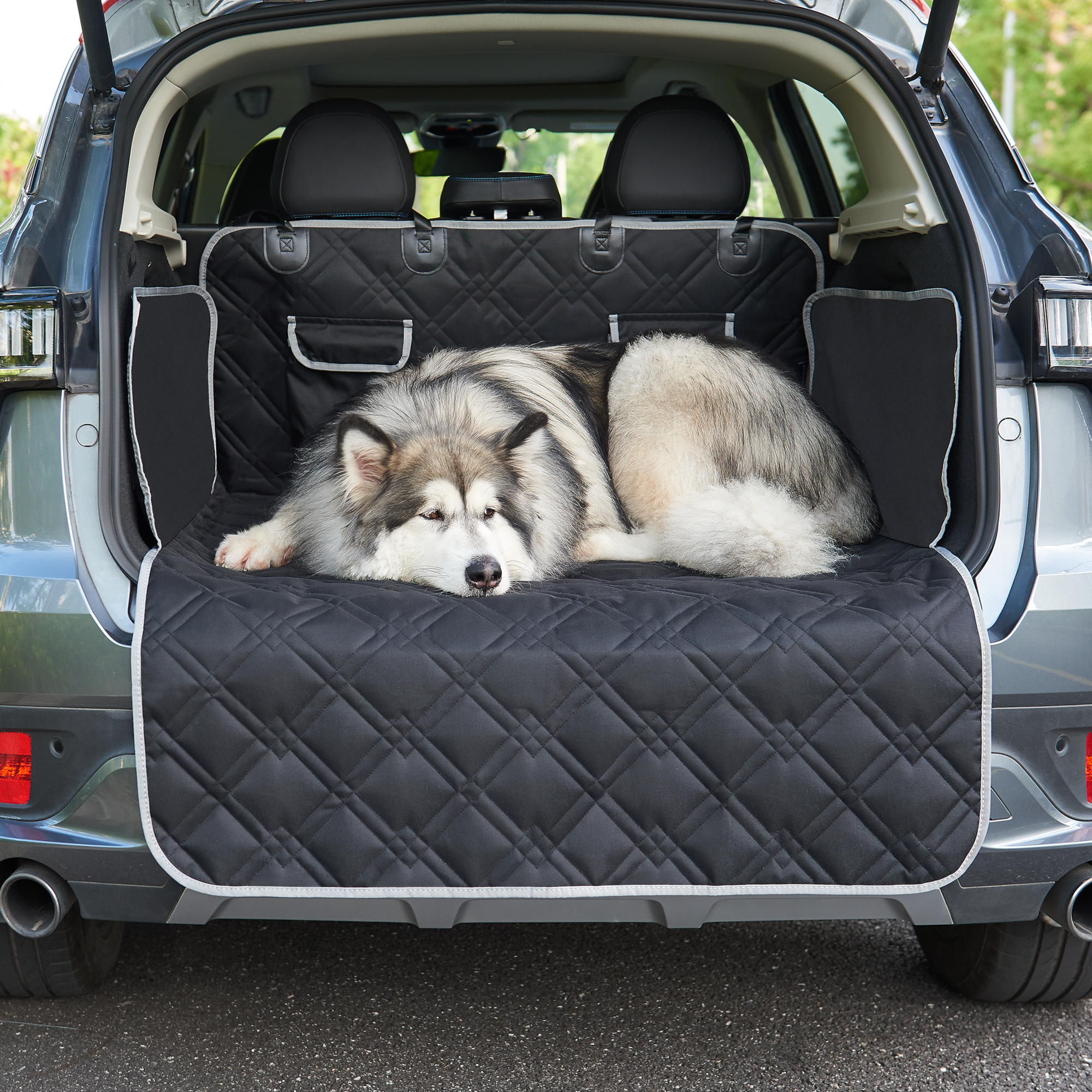 Couverture protection voiture XXL pour chien