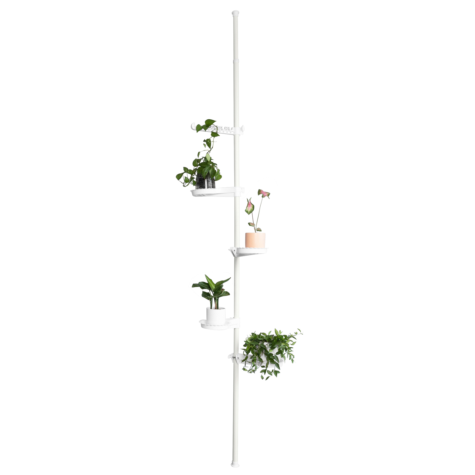 VGEBY présentoir de plante Géométrie balançoire fer rack en céramique pot  de fleur bureau à domicile bureau plante succulente