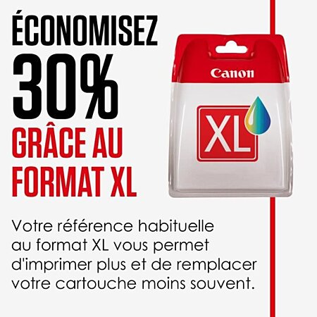 Cartouche canon mg2550 - Accessoires et consommables sur Rue du Commerce