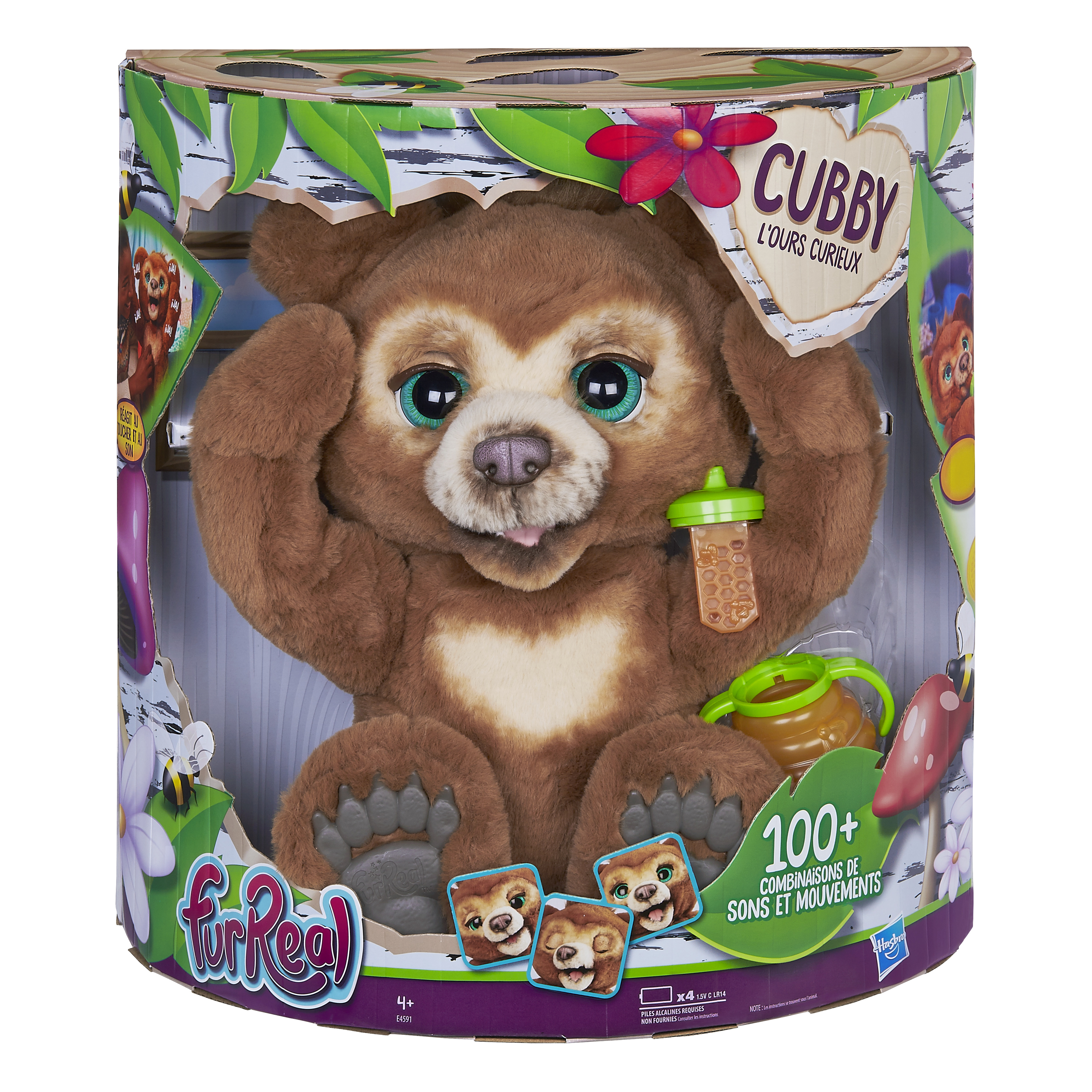 Cubby L’ours curieux