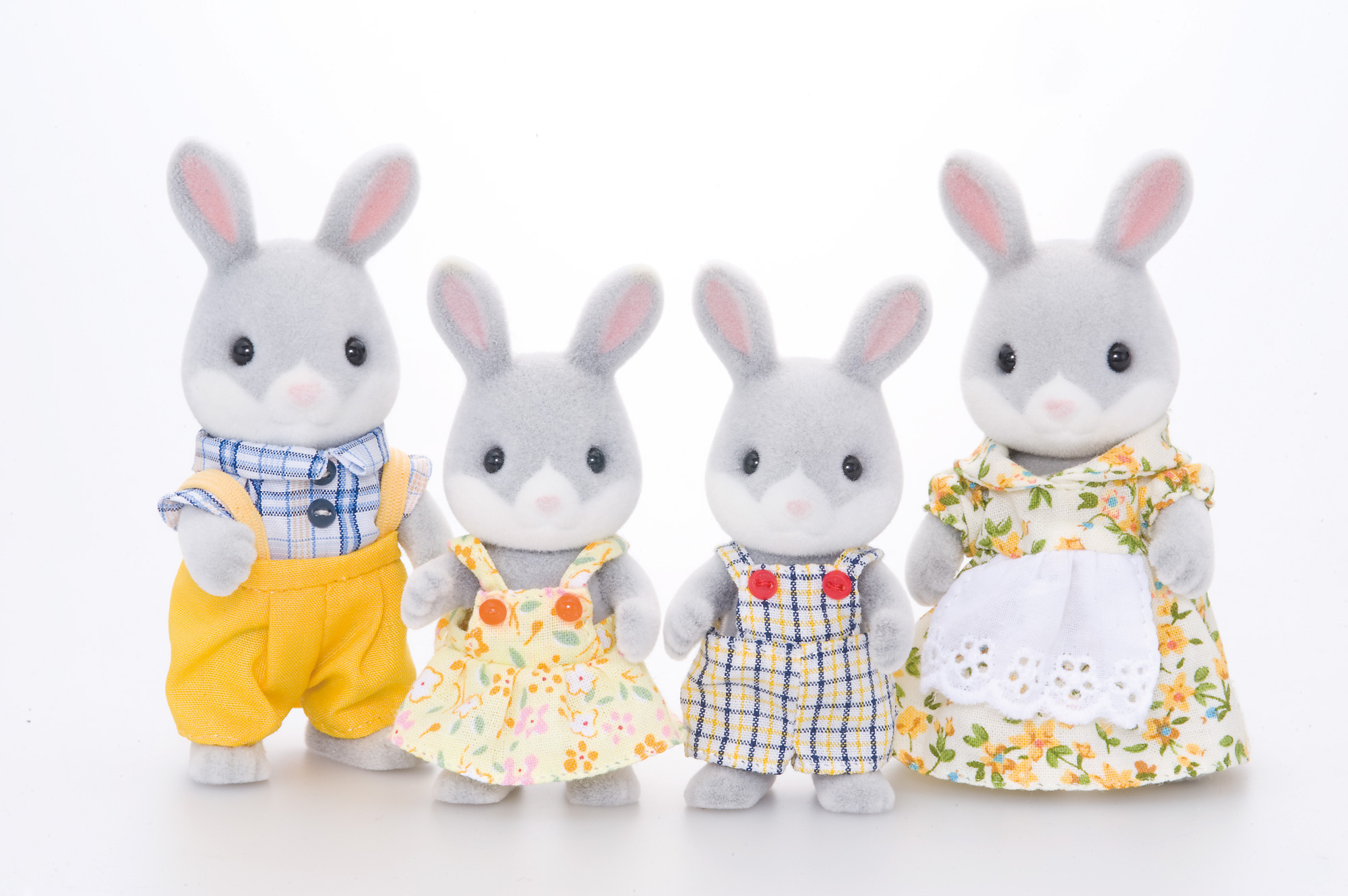 La famille lapin gris