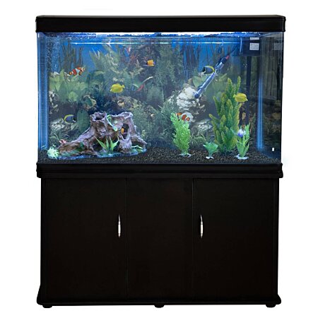 Aquarium de 300 Litres, Kits et Accessoires de Démarrage, Plantes,  Graviers, Meuble NOIR, d'une dimension au meilleur prix