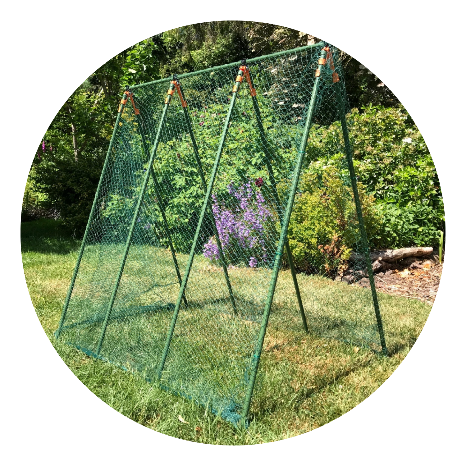 100 Clips Pour Plantes Grimpantes - Supports Tomates Et Légumes Jardin (2 Couleurs)