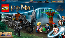 LEGO Harry Potter Poudlard : le Cours de Défense 76397 LEGO : la boîte à  Prix Carrefour