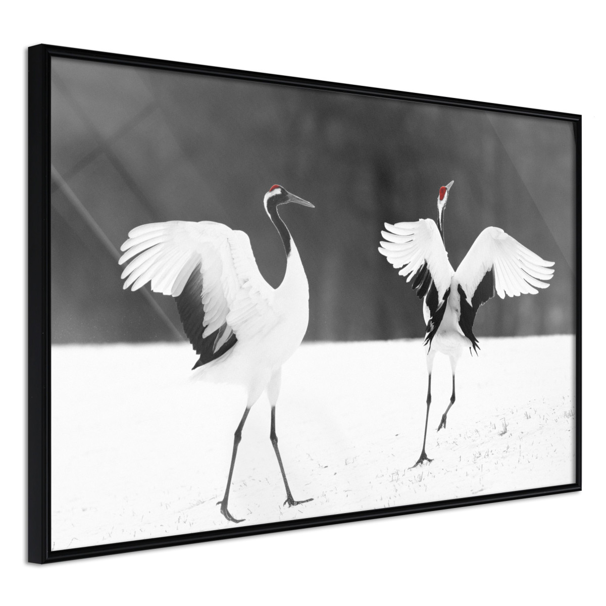 Paris prix Affiche Murale Encadrée "Bird Date" 90 x 60 cm Noir