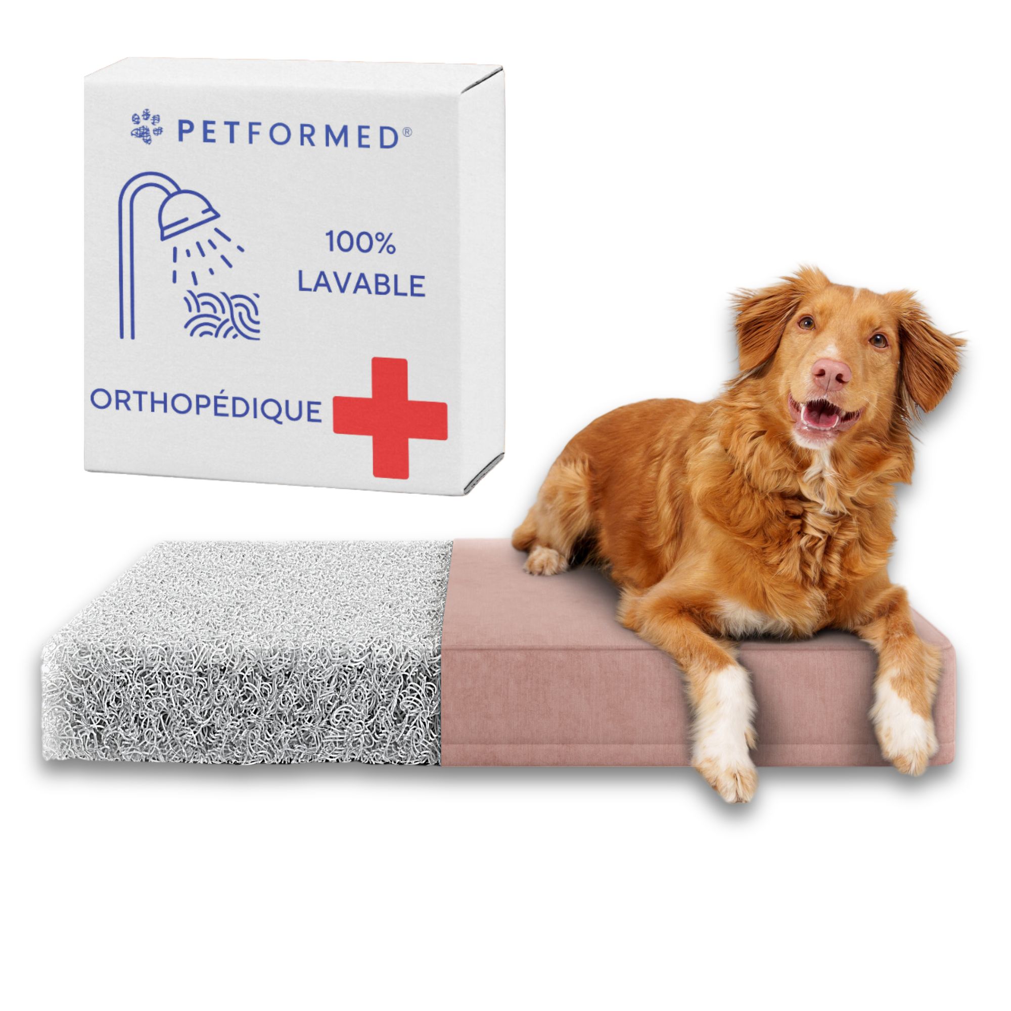 Coussin lit pour chien sain et hypoallergénique