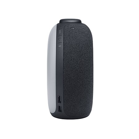 Enceinte JBL Horizon 2 Bluetooth Multifonctions avec Réveil, Radio