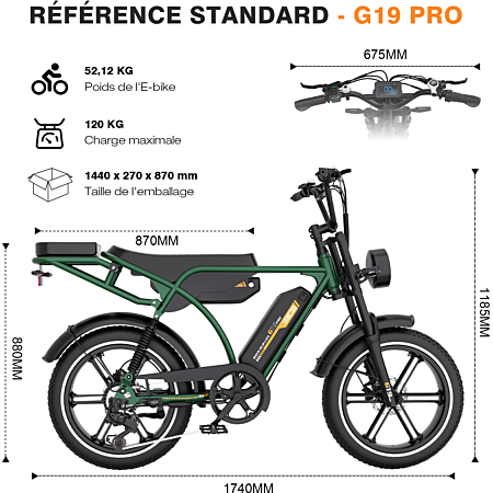 RCB G19 Vélo électrique pour Adultes,Batterie 48V/20.8AH,20 Velo Electrique urbains, Autonomie 60-90KM, 250W, Contrôle APP/NFC, Adapté à la Ville et à la Montagne RCB G19 Vélo électrique pour Adultes,Batterie 48V/20.8AH,20 Velo Electrique urbains, Autonomie 60-90KM, 250W, Contrôle APP/NFC, Adapté à la Ville et à la Montagne