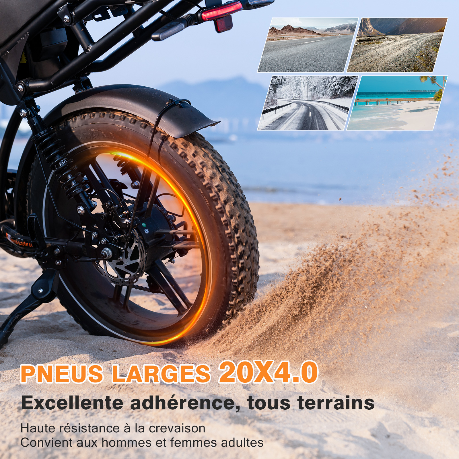 RCB G19 PRO Vélo Électrique Fatbike - Double Batterie 48V 15.6Ah, 120KM ...