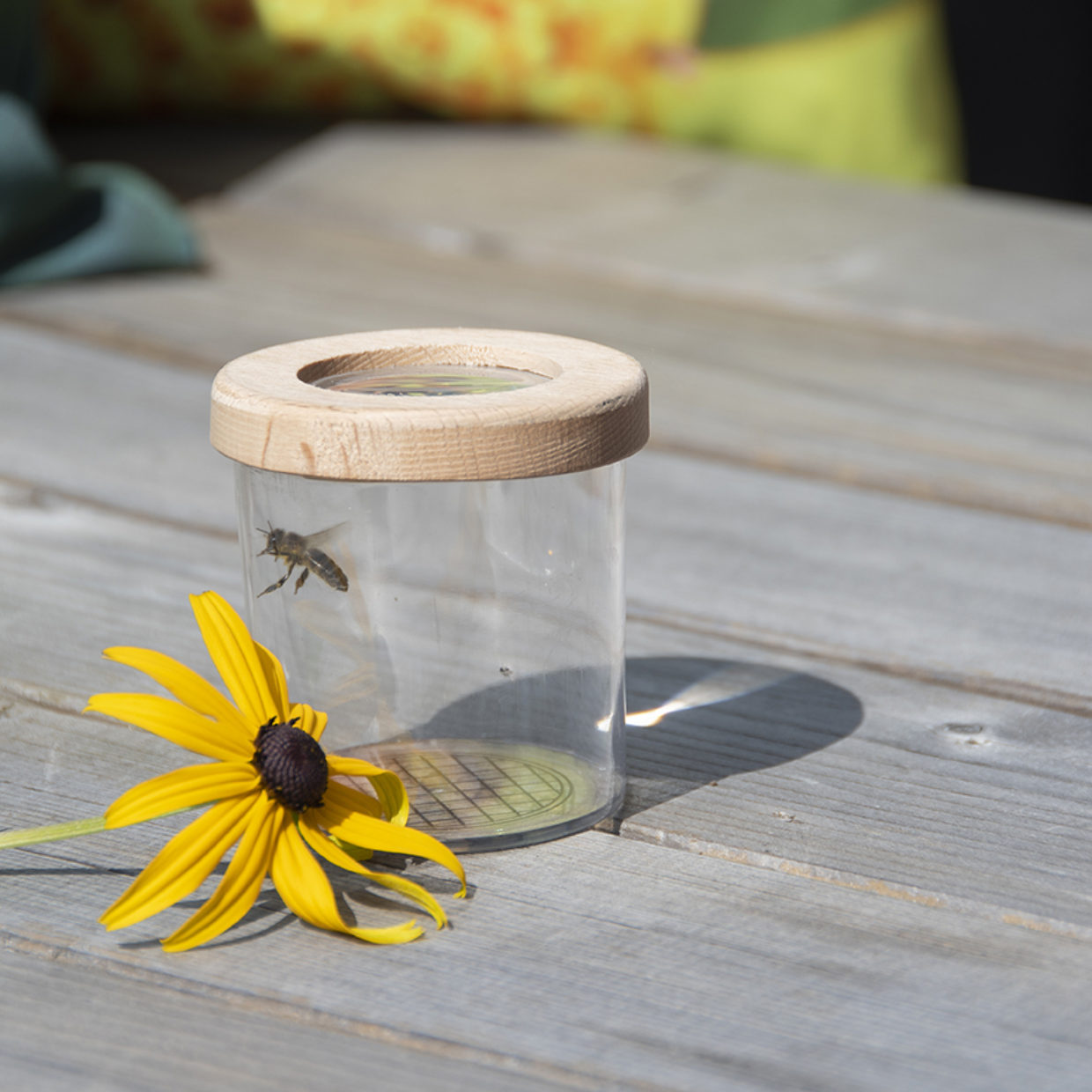 Nature - Boîte Loupe Enfant - Observation Insectes - 2,6X et 4