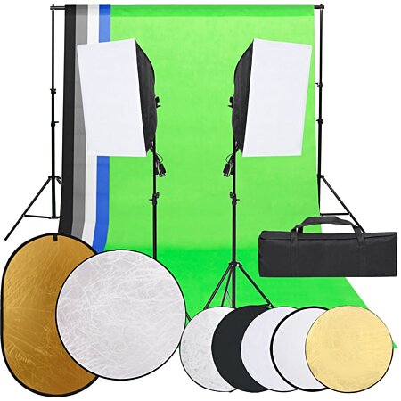 vidaXL Kit de studio photo boîte à lumière toile de fond et