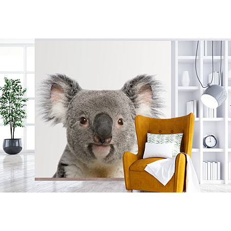 Papier peint Bébé Koala - ourson Koala - chambre garçon - fille