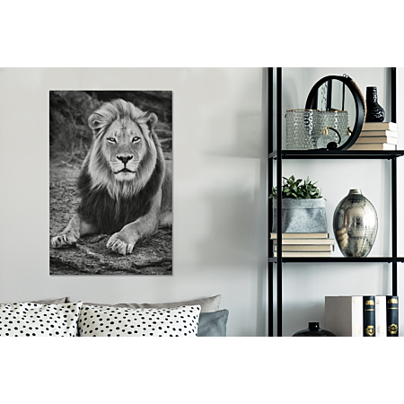 Tableau sur toile Animaux - Noir - Blanc - Profil Decoration murale 80x120  cm au meilleur prix