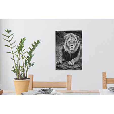 Tableau Sur Toile Tigre - Animaux - Noir - Blanc Decoration Murale 90x60 Cm  à Prix Carrefour