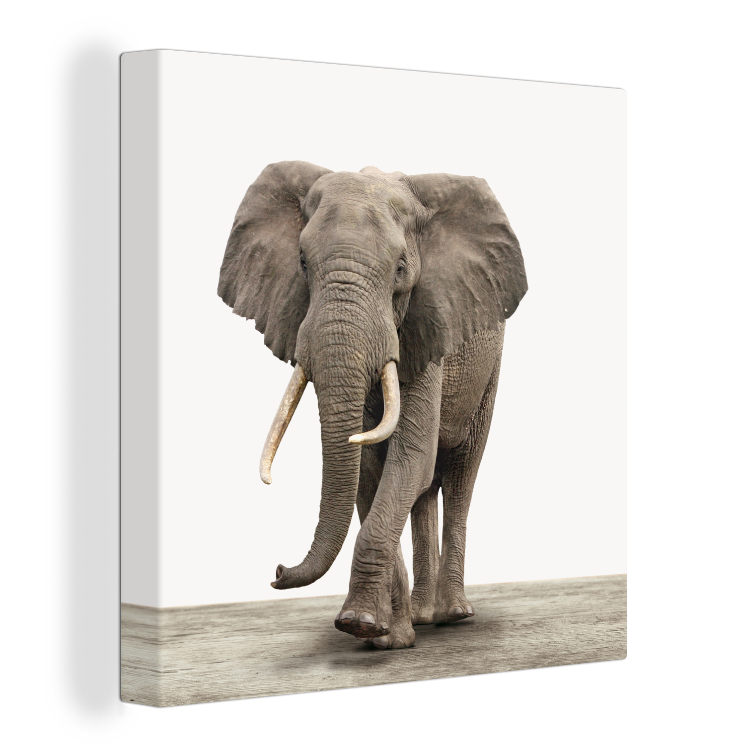 Tableau sur toile éléphant coloré 80x60 - Accessoires de décoration de  chambre