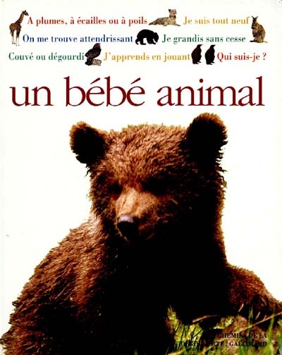 couverture de : un b&eacute;b&eacute; animal