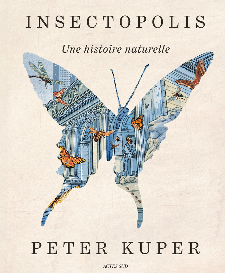 Insectopolis - Une histoire naturelle (BD) au meilleur prix | E.Leclerc